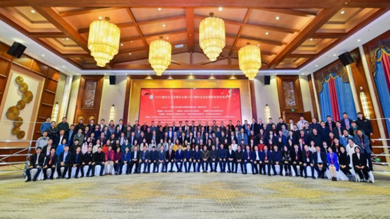 2023 Building Materials Enterprise Development Report Release Activities